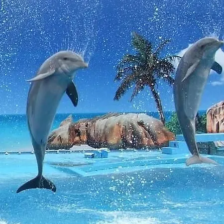 Mit Terrasse By Interhome Albufeira