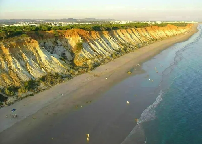 Mit Terrasse By Interhome Apartment *